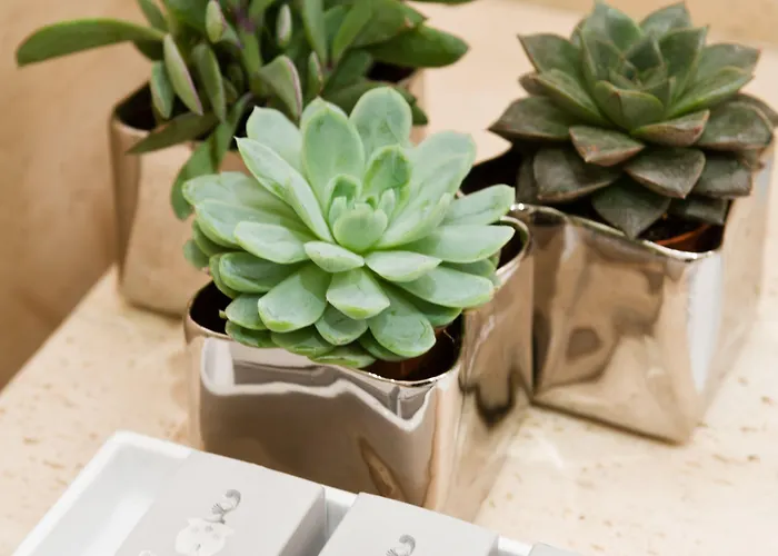 Casa Montani Bed & Breakfast