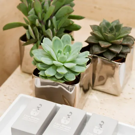 Casa Montani Bed & Breakfast